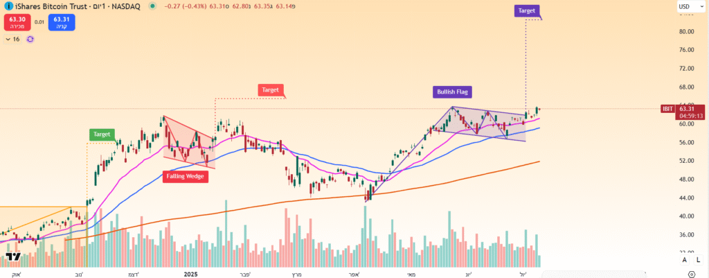Shares Bitcoin Trust בגרף יומי מאת TradingView